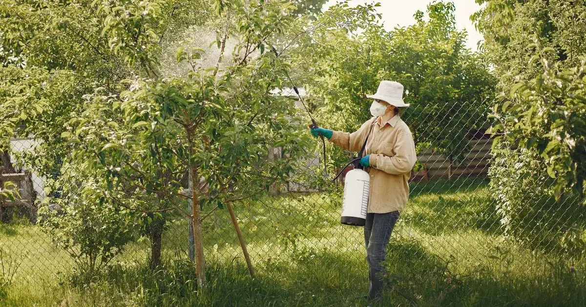Pest Control Marketing: The Shape of Your Service Area Is the Strategy